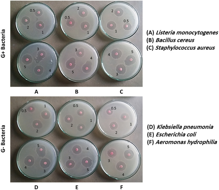 Figure 6