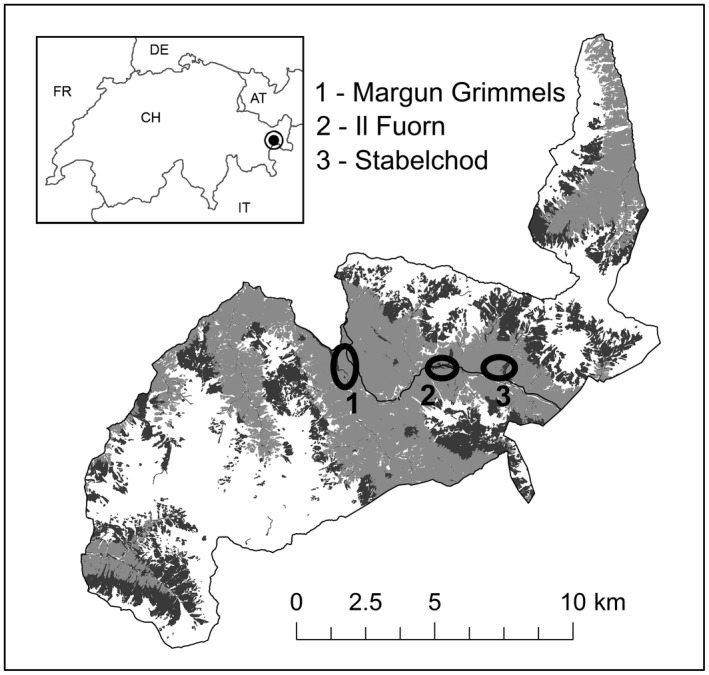 FIGURE 1