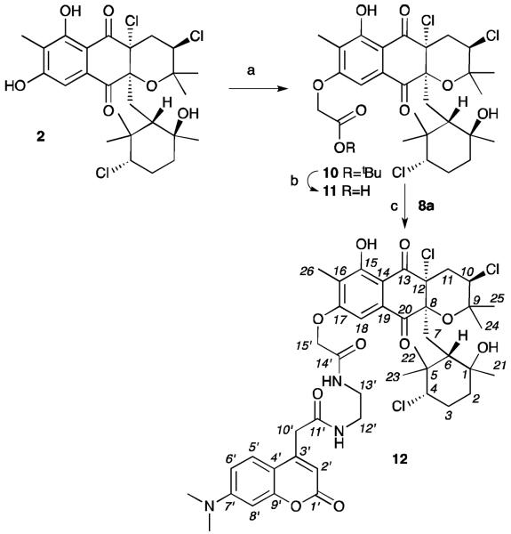 Scheme 2