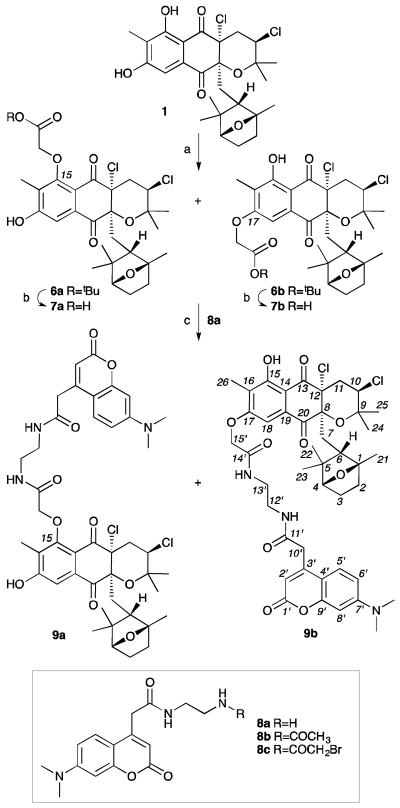 Scheme 1