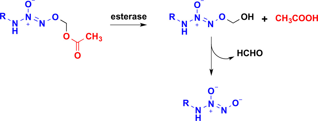 Scheme 2