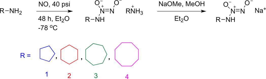 Scheme 5