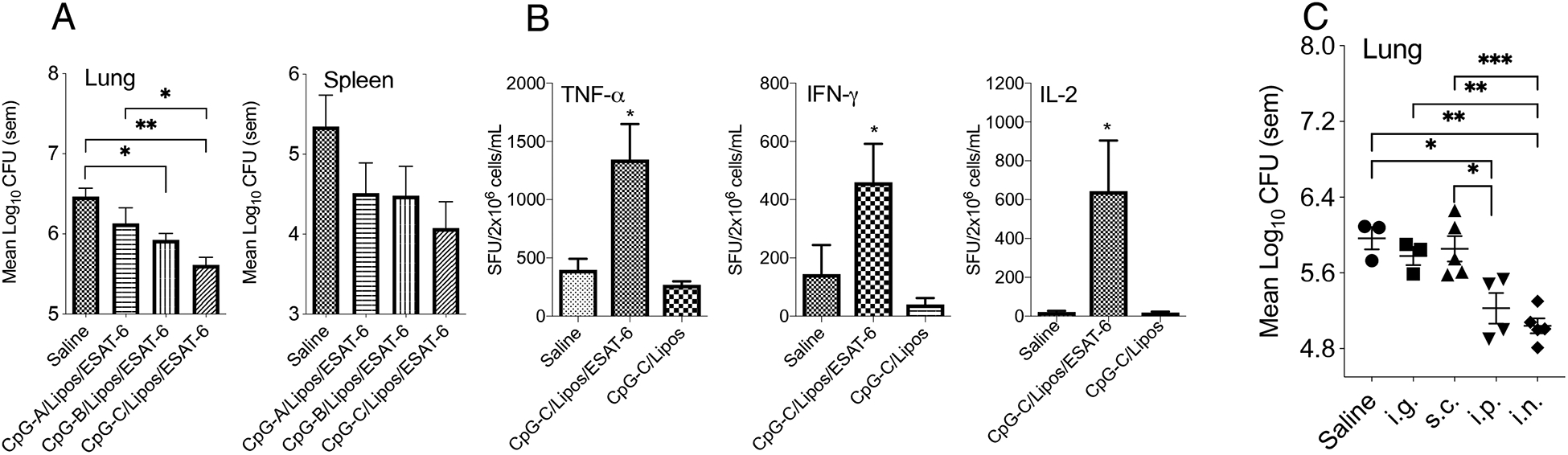 Figure 2: