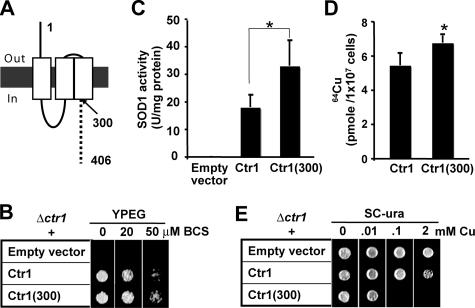 FIGURE 1.