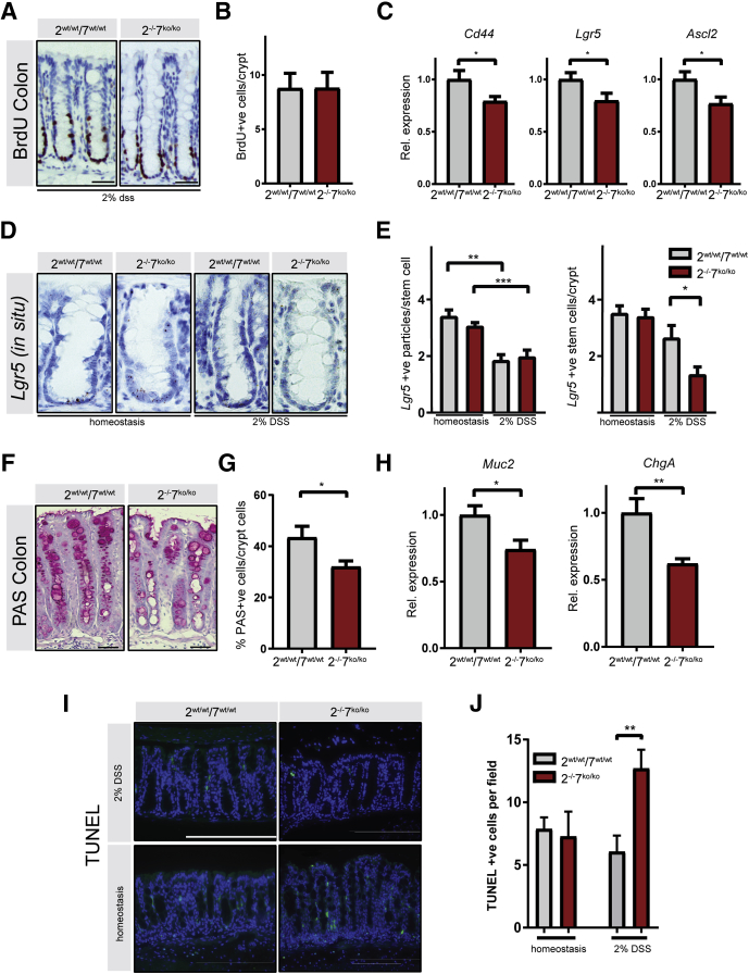 Figure 6