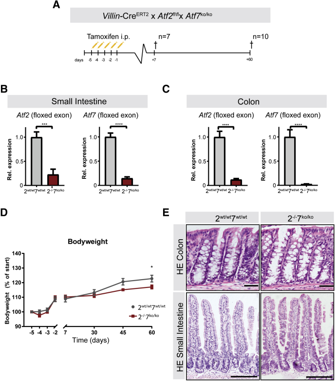 Figure 2