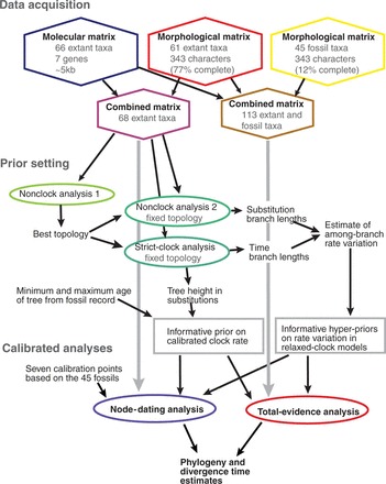 Figure 1.