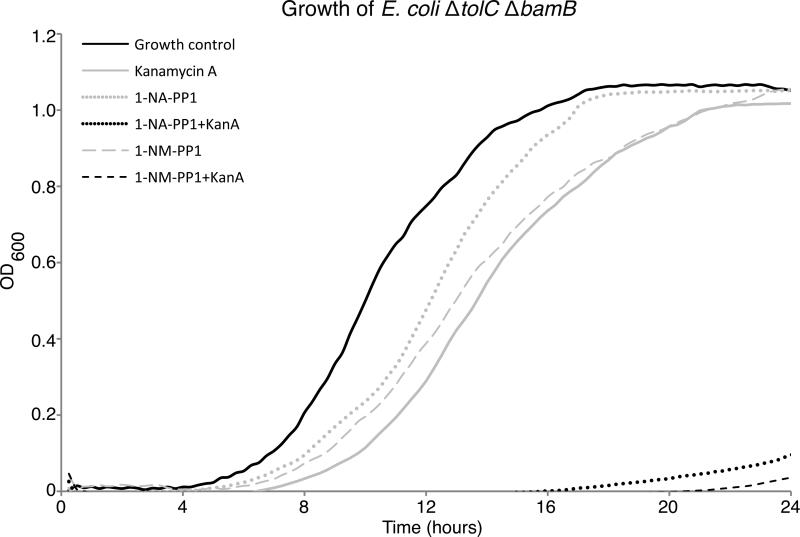 Figure 7