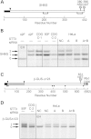 Figure 5.