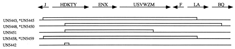 FIG. 5