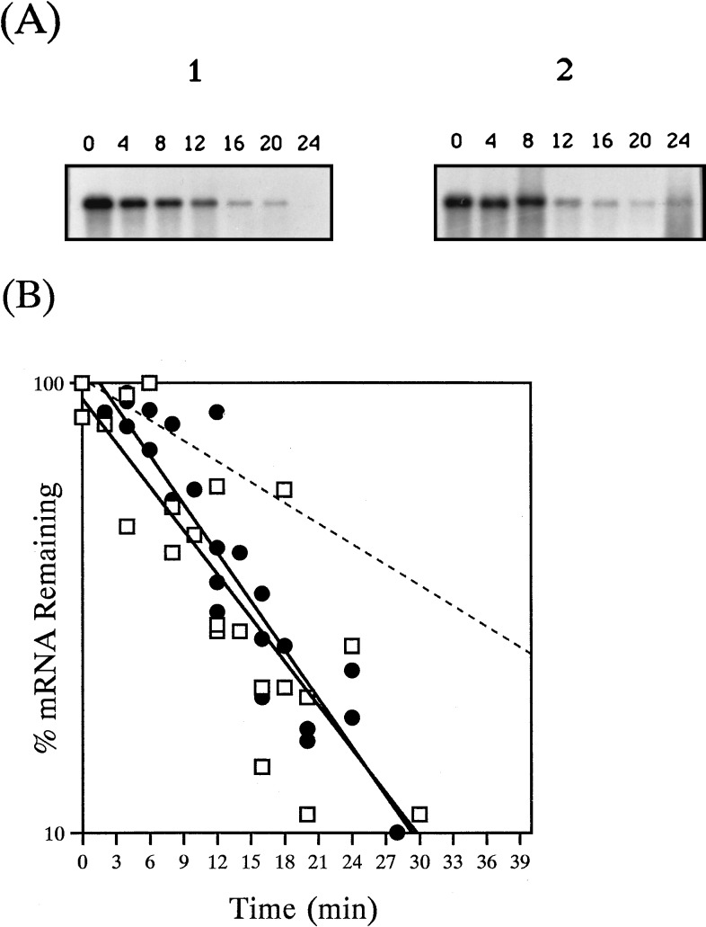 FIG. 6