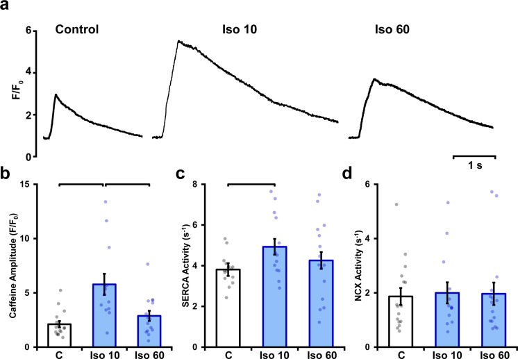 Figure 4—figure supplement 1.