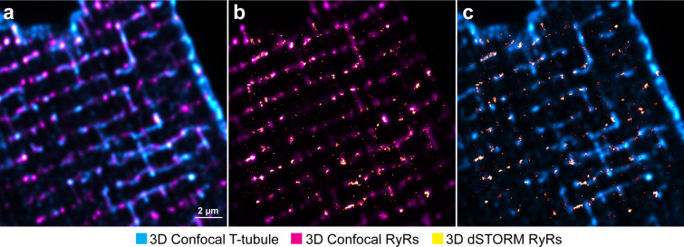 Figure 1—figure supplement 3.