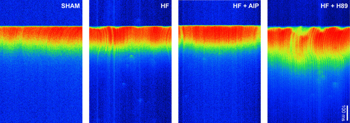 Figure 6—figure supplement 1.