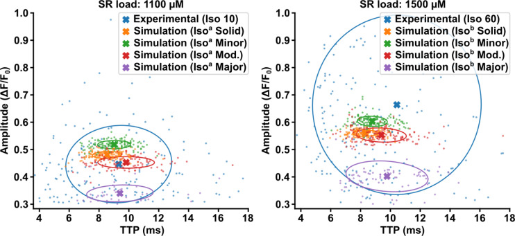 Figure 5—figure supplement 2.