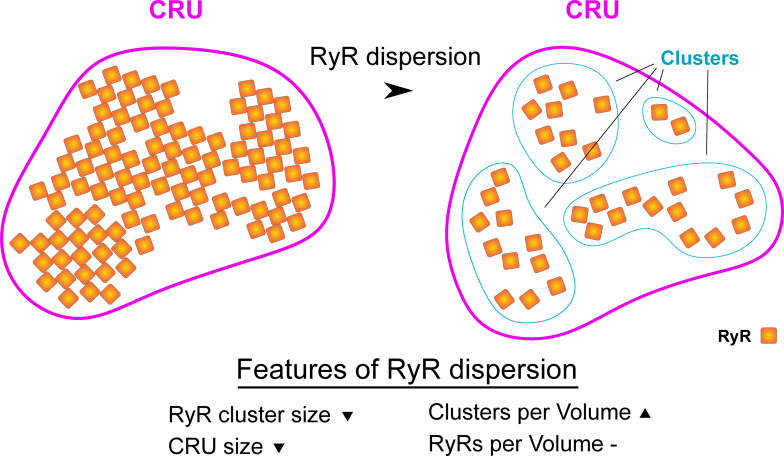 Figure 1—figure supplement 1.