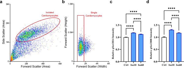 Figure 2—figure supplement 1.