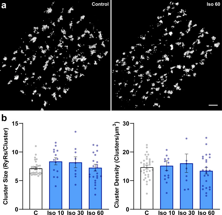 Figure 1—figure supplement 2.