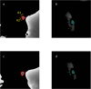 Extended Data Fig. 4