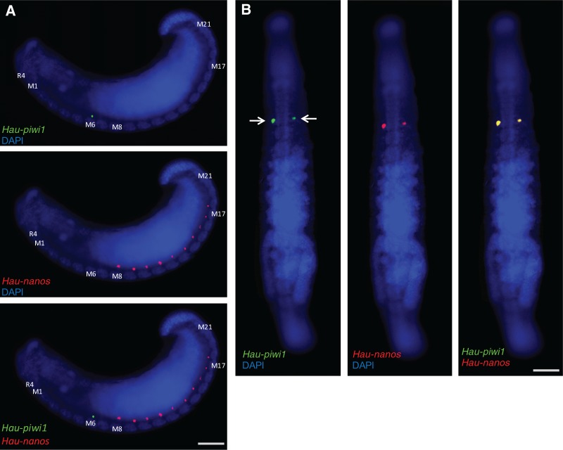 Fig. 6.