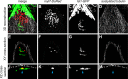 Figure 6—figure supplement 2.