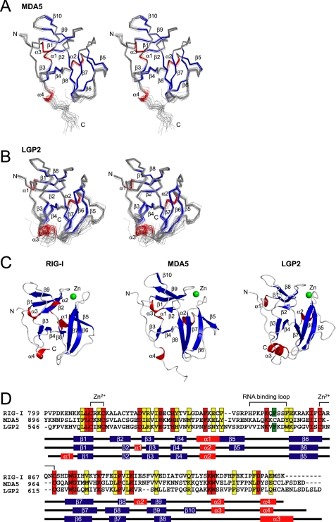 FIGURE 2.