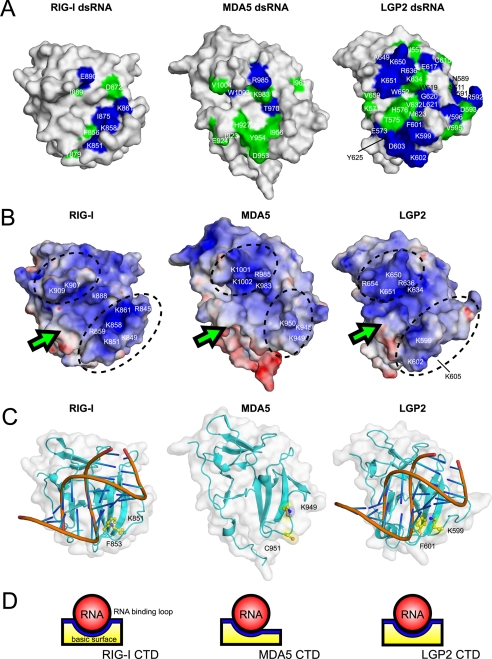 FIGURE 4.