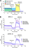 FIG 6