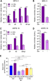 FIG 10