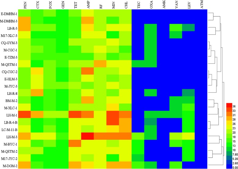 Fig. 7