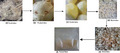 graphic file with name FSN3-10-645-g003.jpg
