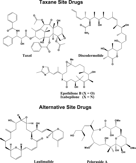 FIGURE 1.