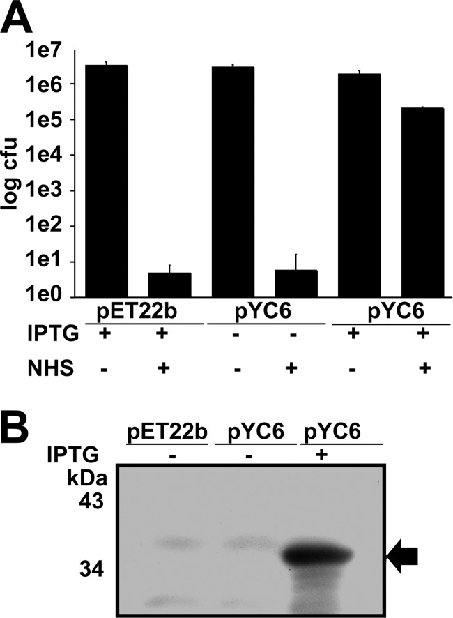 Fig 4