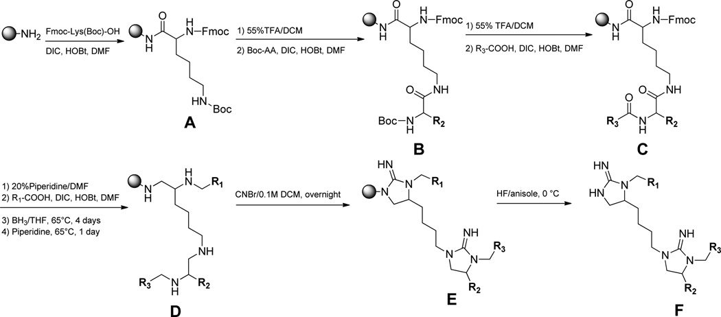 Scheme 1