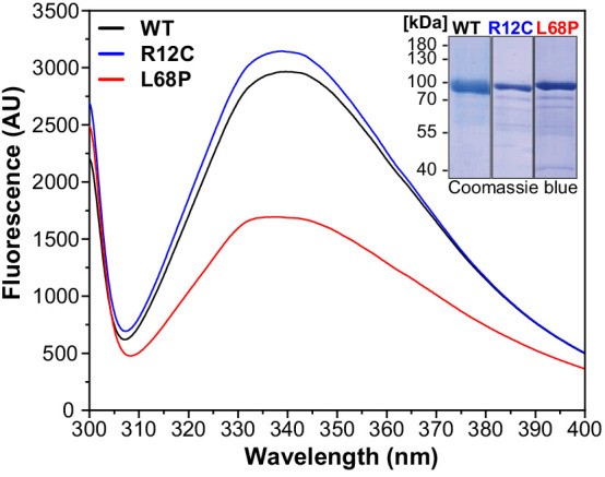 Figure 2—figure supplement 1.