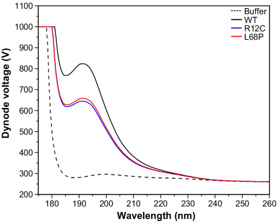 Figure 3—figure supplement 2.