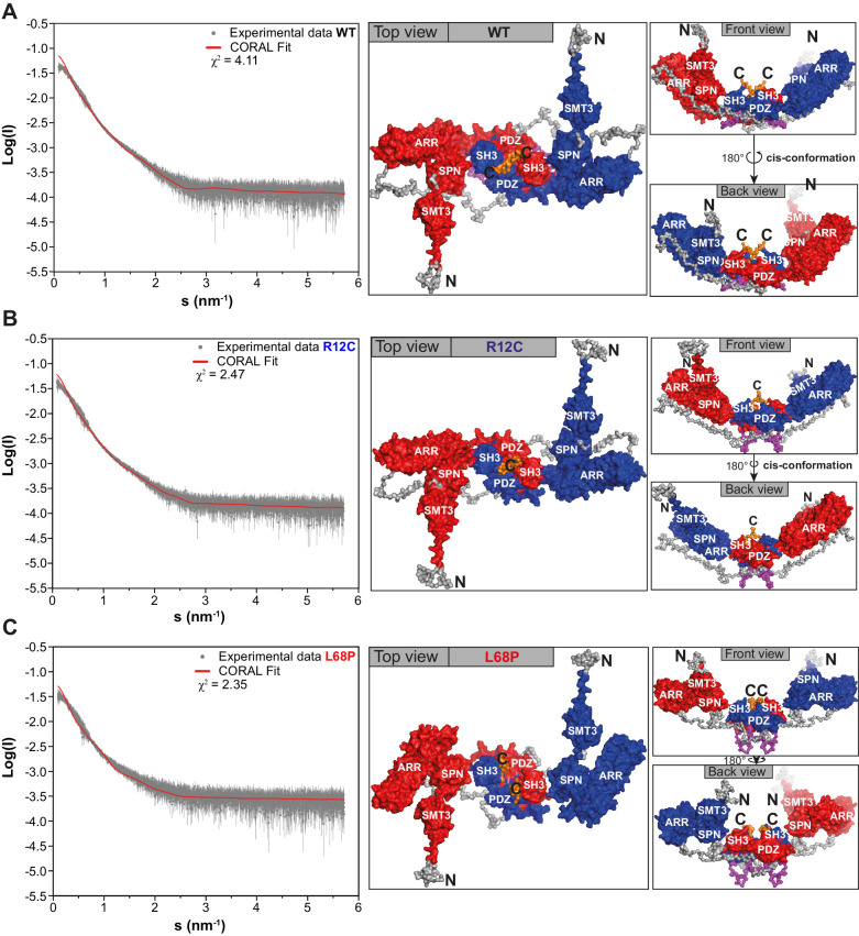 Figure 1—figure supplement 4.