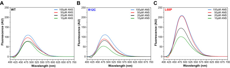 Figure 2—figure supplement 2.