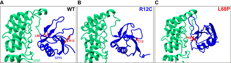 Figure 1—figure supplement 1.