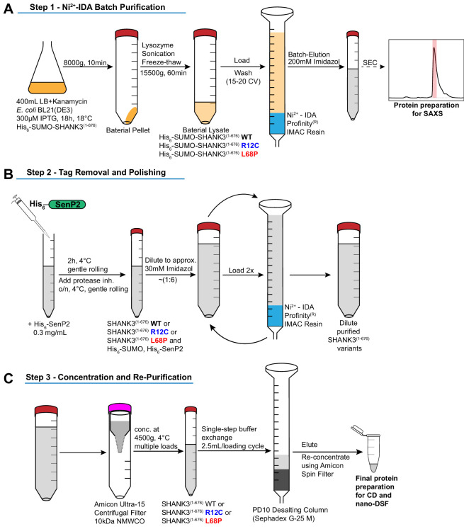 Figure 1—figure supplement 2.