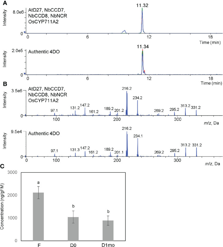 Figure 3