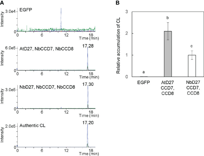 Figure 2