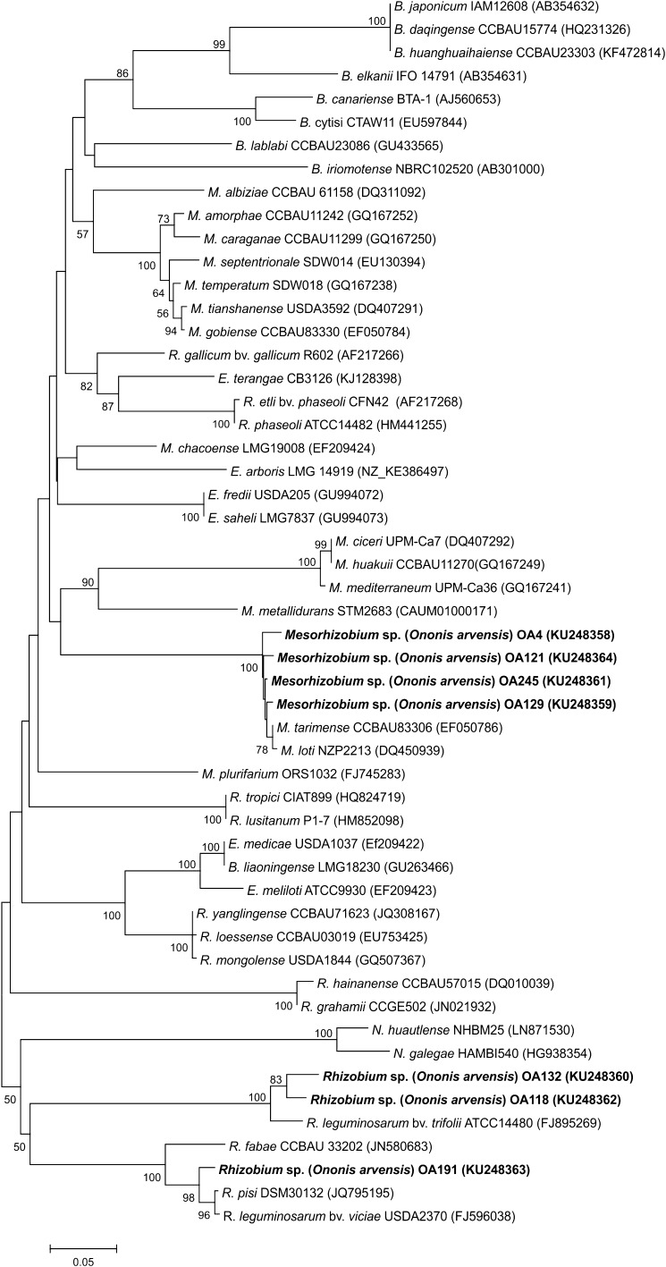 Fig. 4