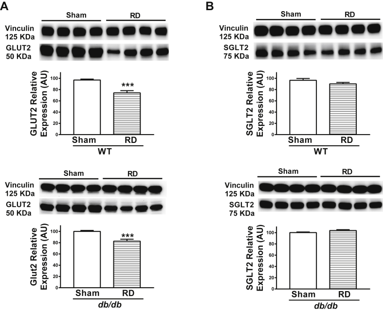 Figure 6