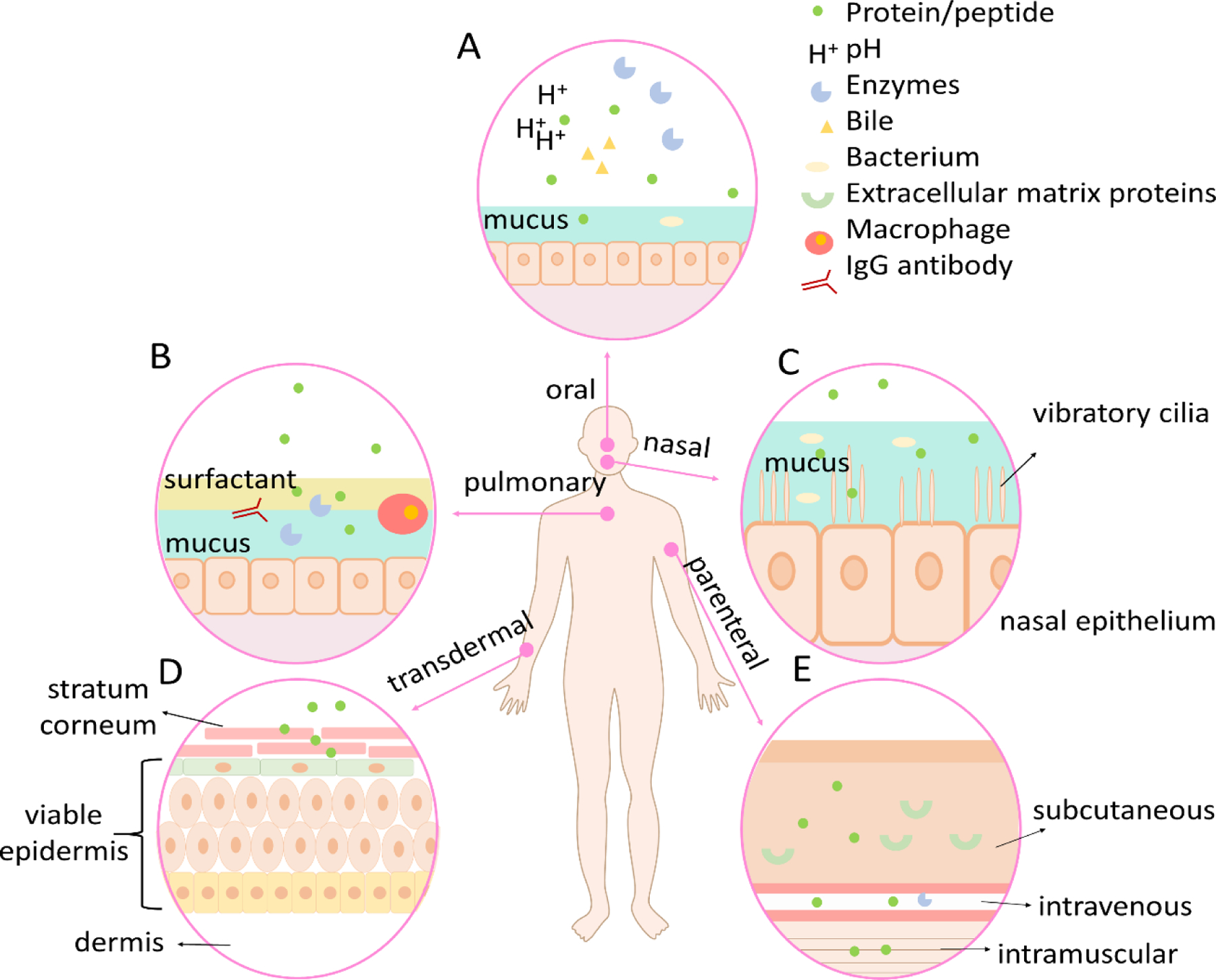 Figure 2.