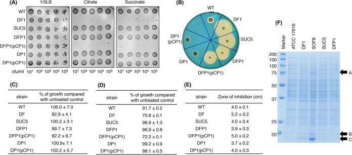 FIG 1