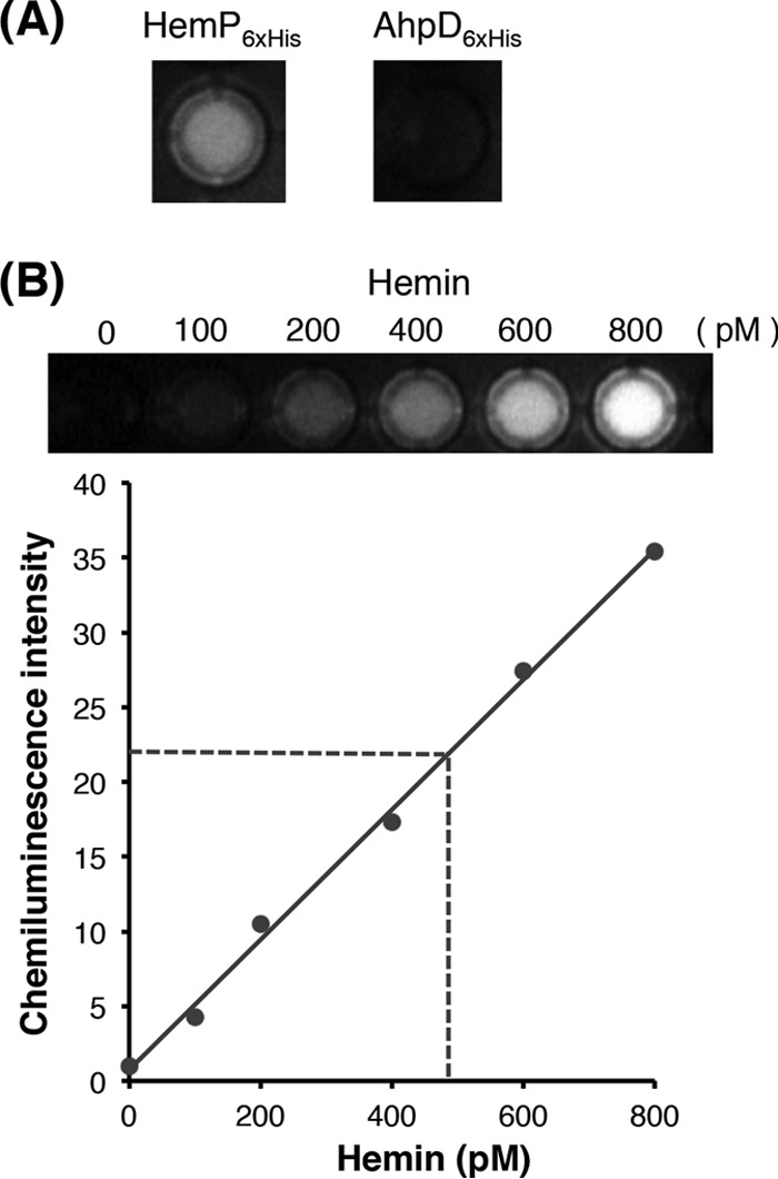 FIG 6