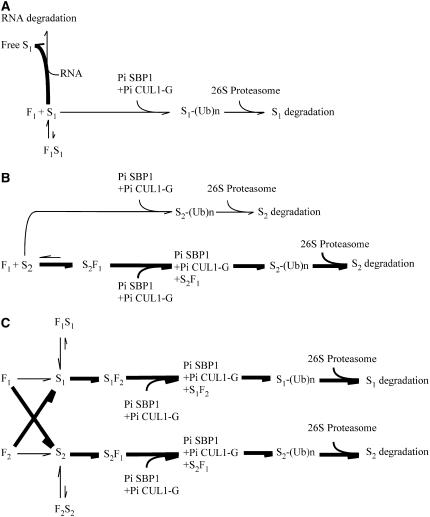 Figure 9.