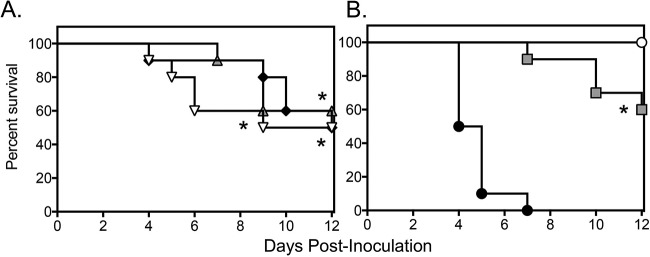 FIG 1