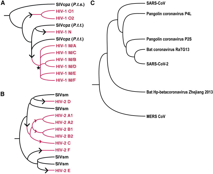 Figure 2